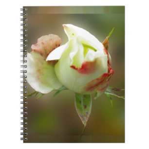 Carnet rosebud brillant
