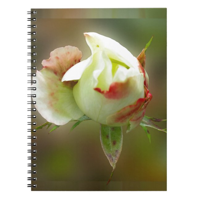 Carnet rosebud brillant (Devant)