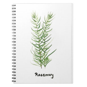 Carnet Rosemary herbes potager jardin plante aquarelle