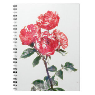 Carnet Roseraie rouge du jardin de Gertie