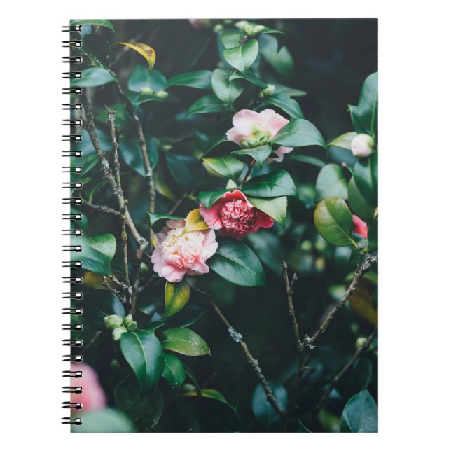 CARNET ROSES DANS LE JARDIN (Devant)