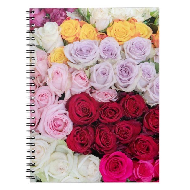 Carnet Roses Mixtes Colorées (Devant)