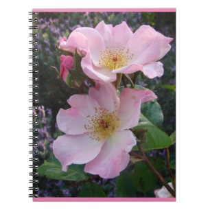 Carnet Roses rose rose Vintage sauvage rétro Fleur fleuri