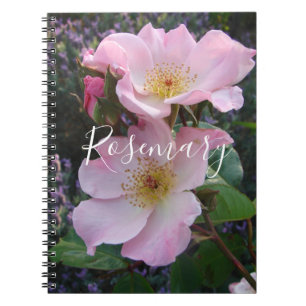 Carnet Roses rose rose Vintage sauvage rétro Fleur fleuri
