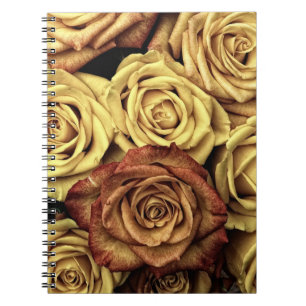 Carnet Roses sépia délavées