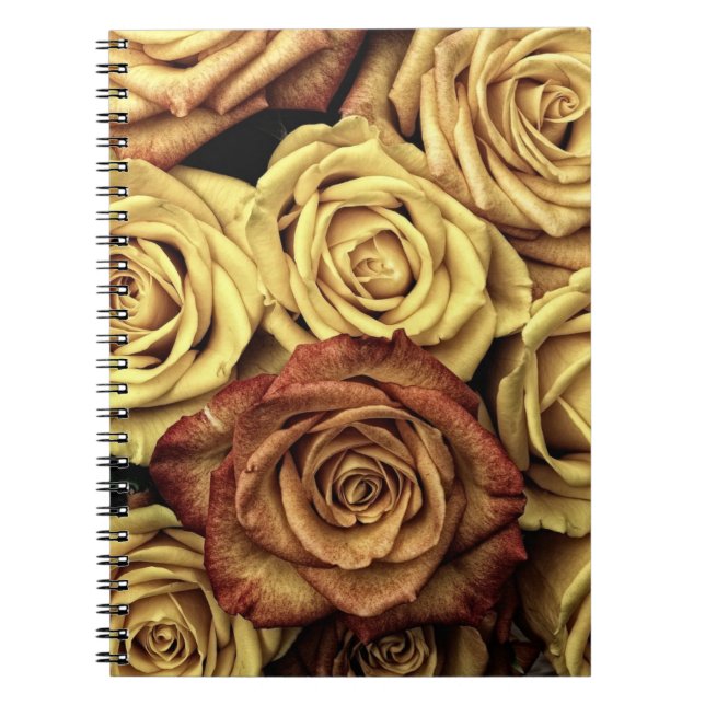 Carnet Roses sépia délavées (Devant)