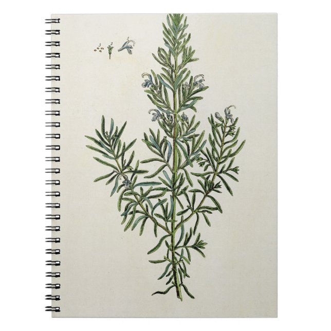 Carnet Rosmarinus Officinalis, "d'un de fines herbes (Devant)