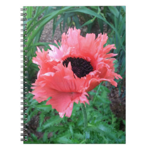 Carnet "Rouffes roses" POPPY —