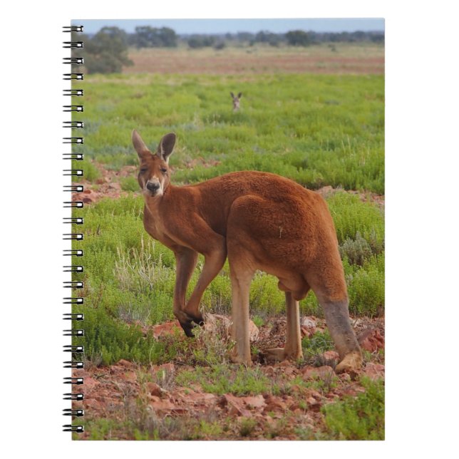 Carnet rouge australien de kangourou (Devant)