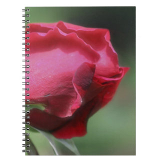 Carnet Rouge Rosebud Flower Nature