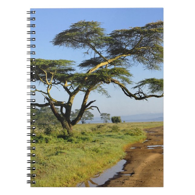 Carnet Route de terre primitive et acacia, lac Nakuru (Devant)