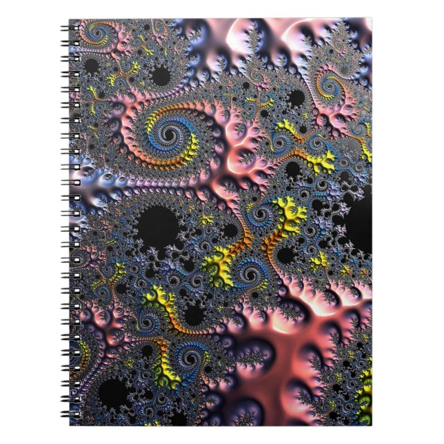 Carnet Royaumes Spirales Infinis (Devant)