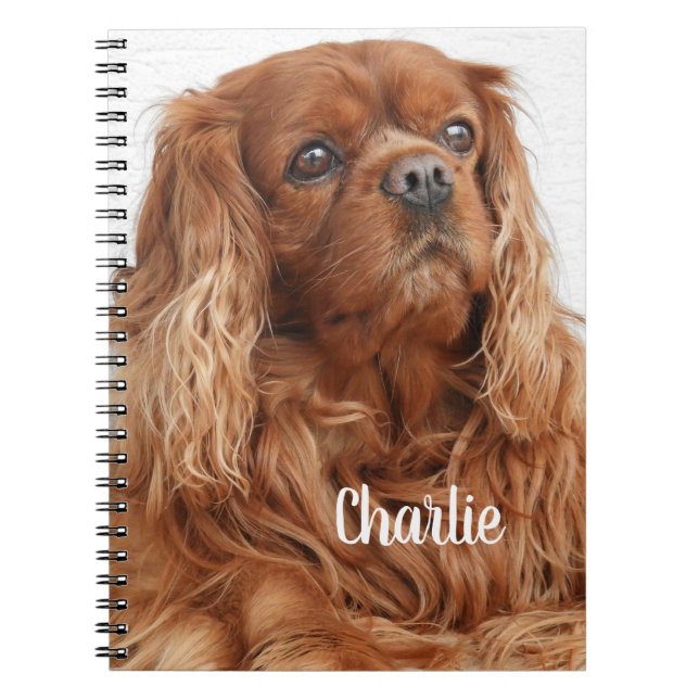 Carnet Ruby Cavalier King Charles Spaniel (Devant)