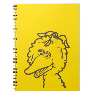 Carnet Rue Sésame   Oiseau brillant