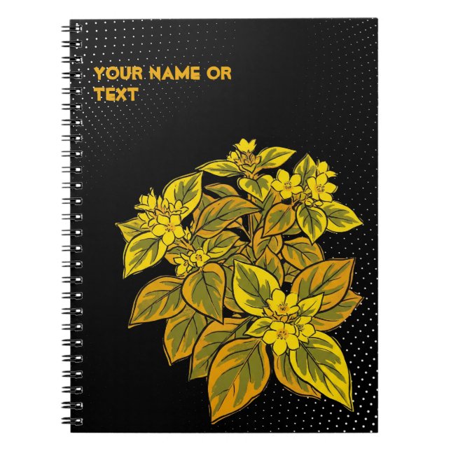 Carnet Ruée vers l'or botanique : Lysimachia Outback Suns (Devant)