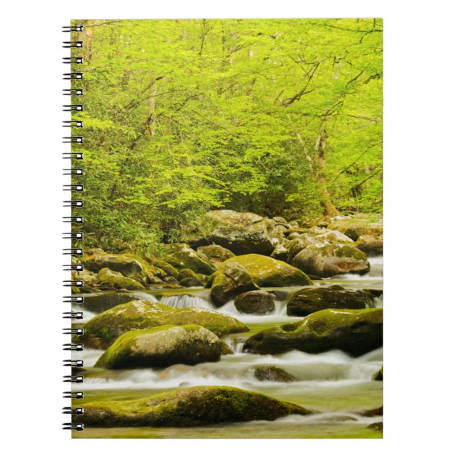 Carnet Ruisseau Rugissant au printemps (Devant)