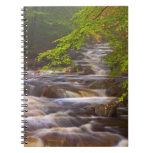 Carnet Ruisseaux le long du sentier des Appalaches