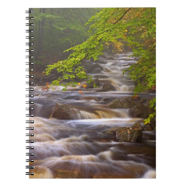 Carnet Ruisseaux le long du sentier des Appalaches (Devant)