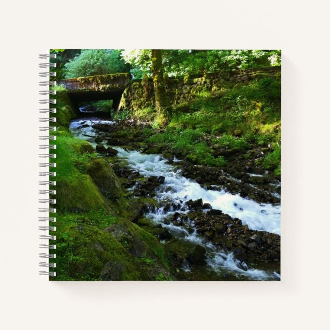 Carnet Ruissellement de Wahkeena Falls, OR (Devant)