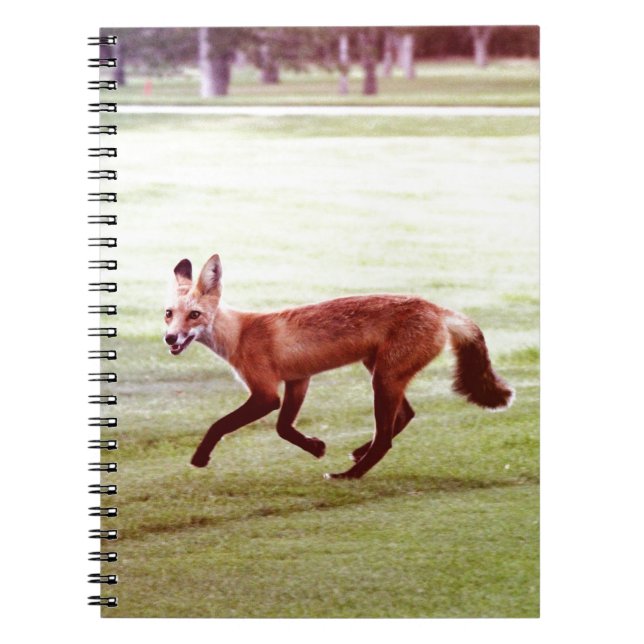 Carnet running red fox photographe (Devant)