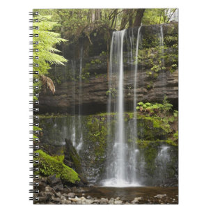 Carnet Russell Falls, Parc national du Mont Field,