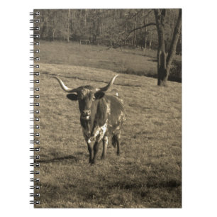 Carnet Rustic Texas Longhorn élevage de taureau vache
