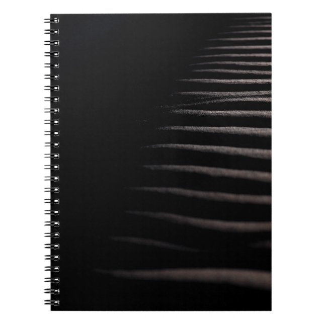 CARNET SABLE GRIS EN PHOTOGRAPHIE CHIAROSCURO (Devant)