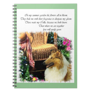 Carnet Sable Rough Collie Là Où L'Amour Grandit