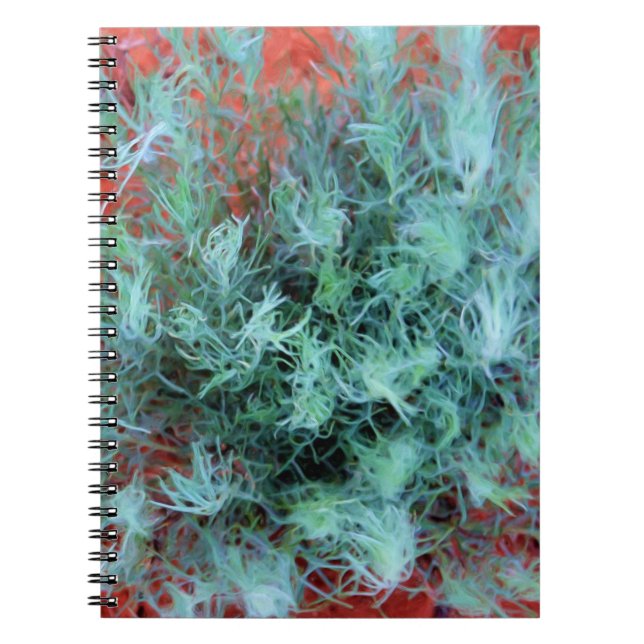 Carnet Sable vert sur sable rouge (Devant)