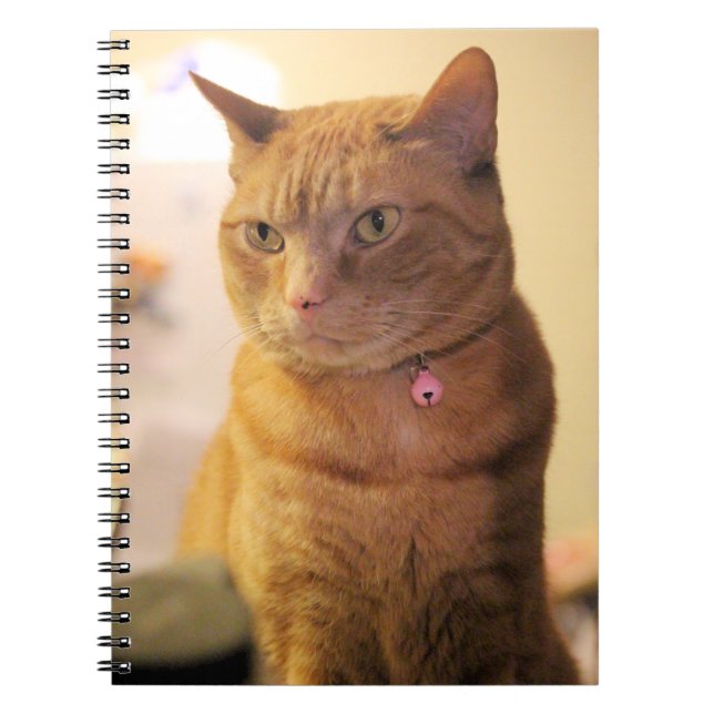 Carnet Sac à ficelle de chat (Devant)