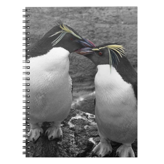 Carnet Sac fourre-tout (Devant)