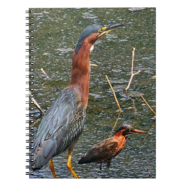 Carnet Sac réutilisable pour épicerie Green Heron (Devant)