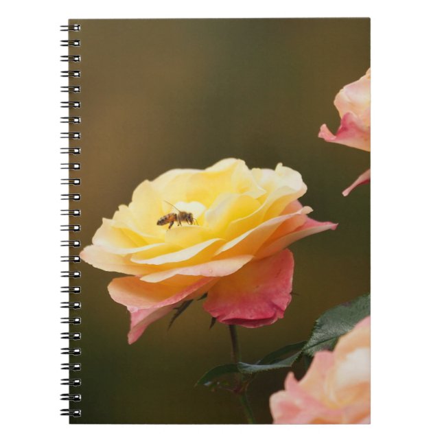 Carnet Sac Rose et Abeille (Devant)