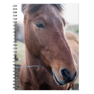 CARNET SAD HORSE