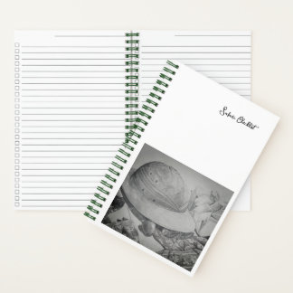 Carnet Safari Sketchbook