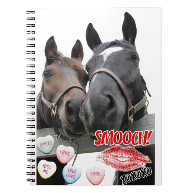 Carnet Saint Valentin (Devant)