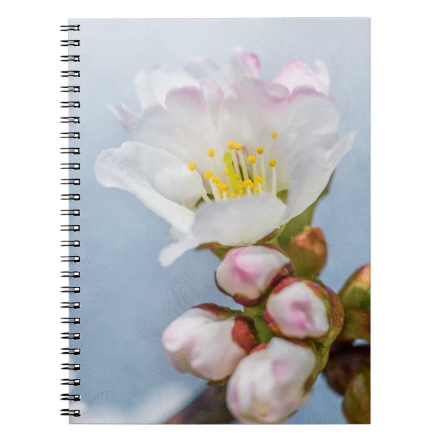 Carnet Sakura Blossom (Devant)