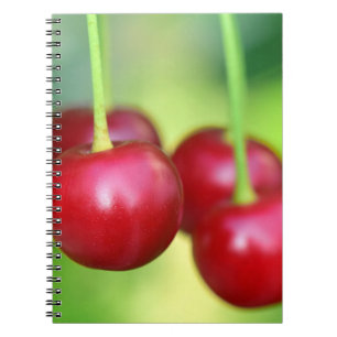 Carnet Sakura Cerises Délicieux Vegetarian Fruits