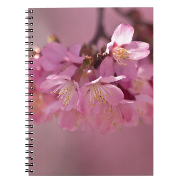 Carnet Sakura Cherry Blossoms Delicate Pink Bouquet (Devant)