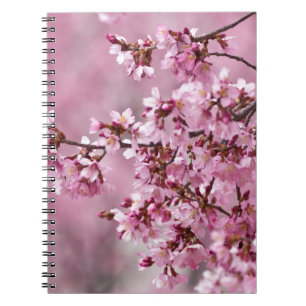 Carnet Sakura Cherry Blossoms Pastel Pink Layers