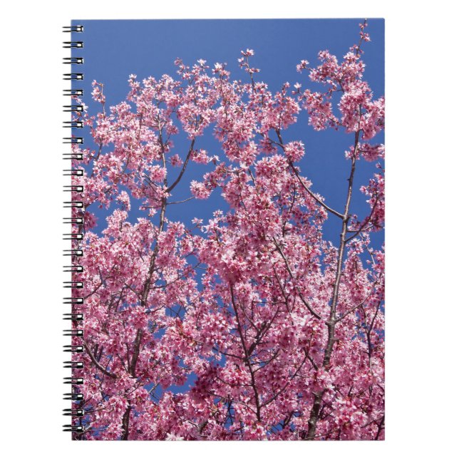 Carnet Sakura Cherry Fleurit Dans Le Bleu (Devant)
