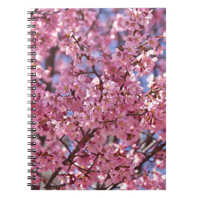 Carnet Sakura Pink Cherry Blossom Sky (Devant)