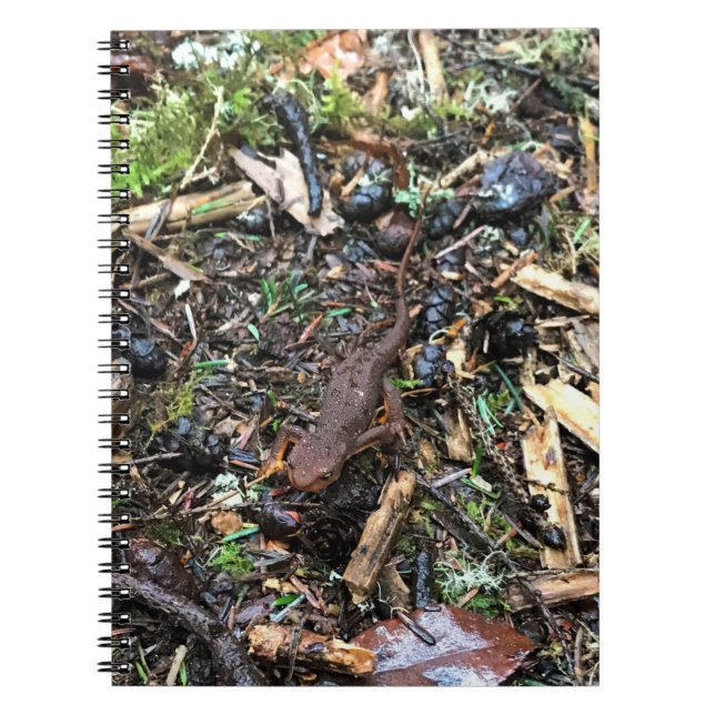 Carnet Salamandre dans la forêt, Washington (Devant)