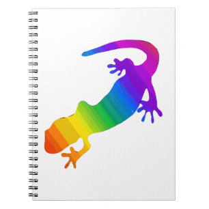 Carnet Salamandre striée arc-en-ciel