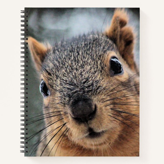 Carnet Salut (Devant)