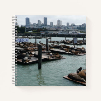 Carnet San Francisco et Pier 39 Sea Lions City Skyline
