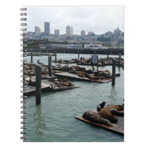 Carnet San Francisco et Pier 39 Sea Lions City Skyline