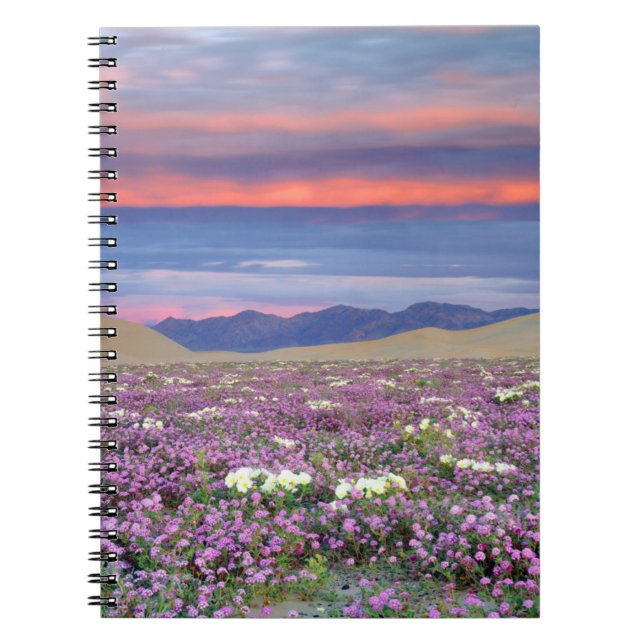 Carnet Sand Verbena et fleurs sauvages de Dune Primrose a (Devant)