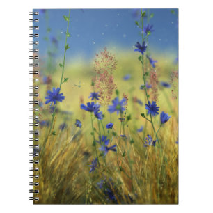 Carnet saphir et or