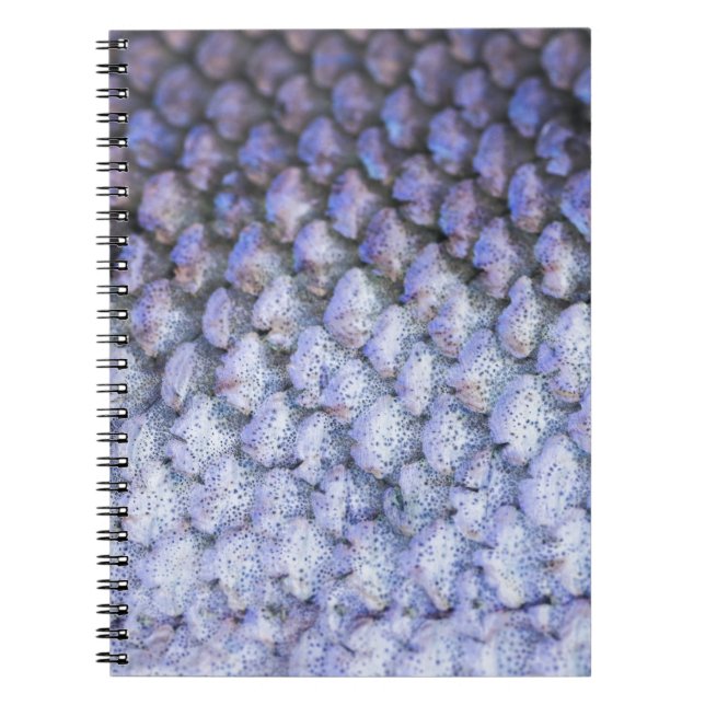 Carnet Saumon chatoyant (Devant)